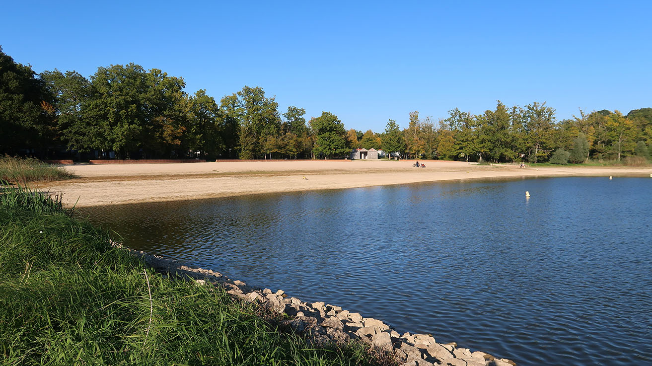Que faire en vacances au Lac du Der ?